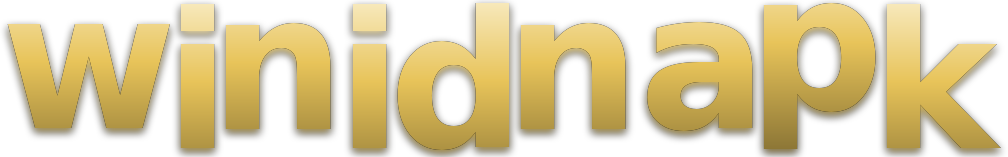 win idn apk logo